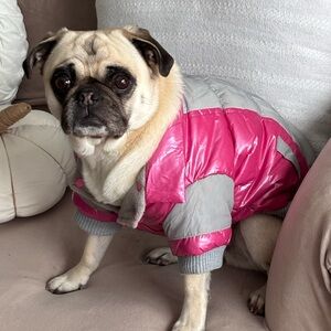 Pet Life Small Dog Puffer Jacket Pink Grey Gray Fleece Lined Snaps Hooded Small